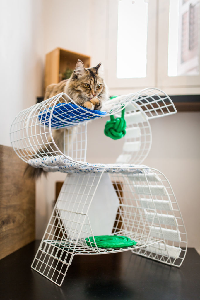 Meuble de jeu pour chat