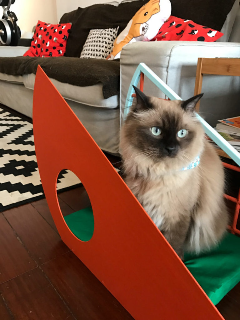 Meuble de jeu pour chat