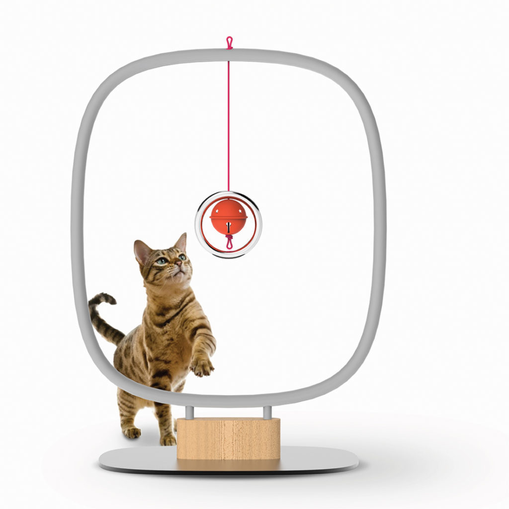 Jeu design pour chat